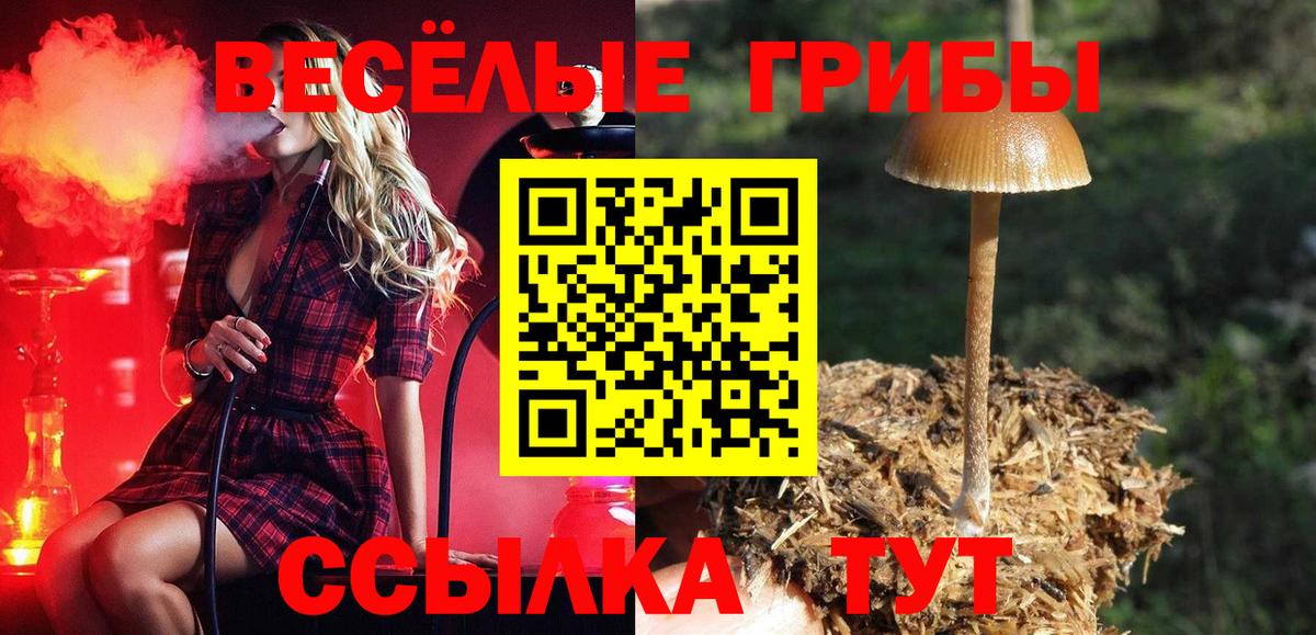 Псилоцибиновые грибы Psilocybine cubensis Анжеро-Судженск