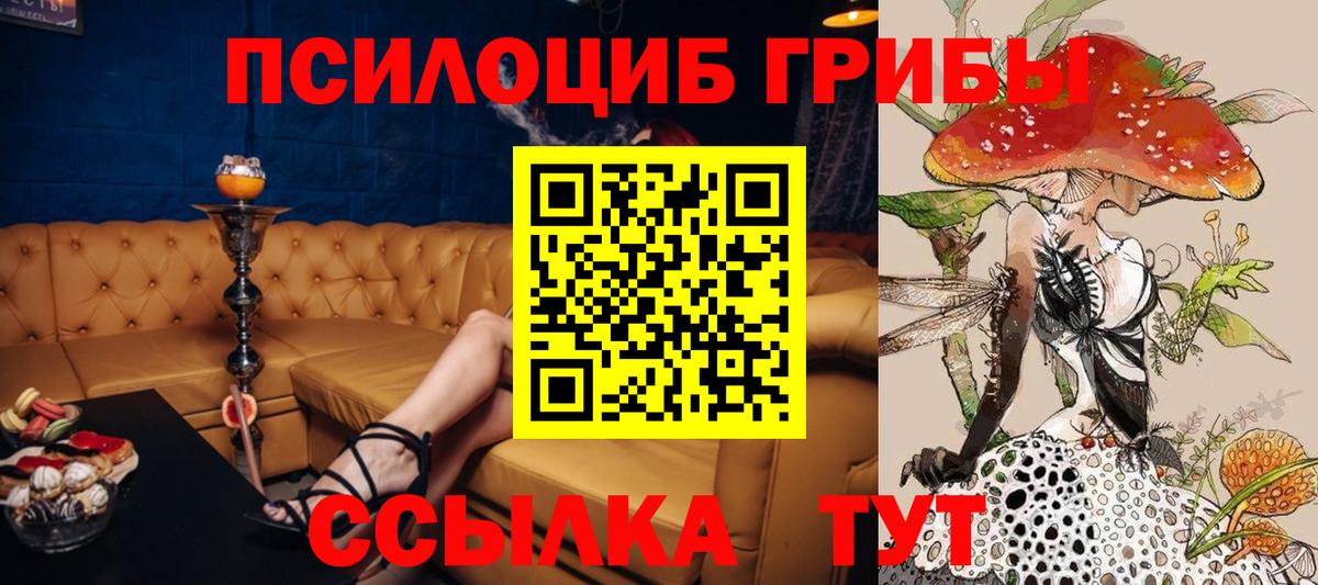 Анжеро-Судженск  Галлюциногенные грибы Psilocybine cubensis  Вход с VPN 