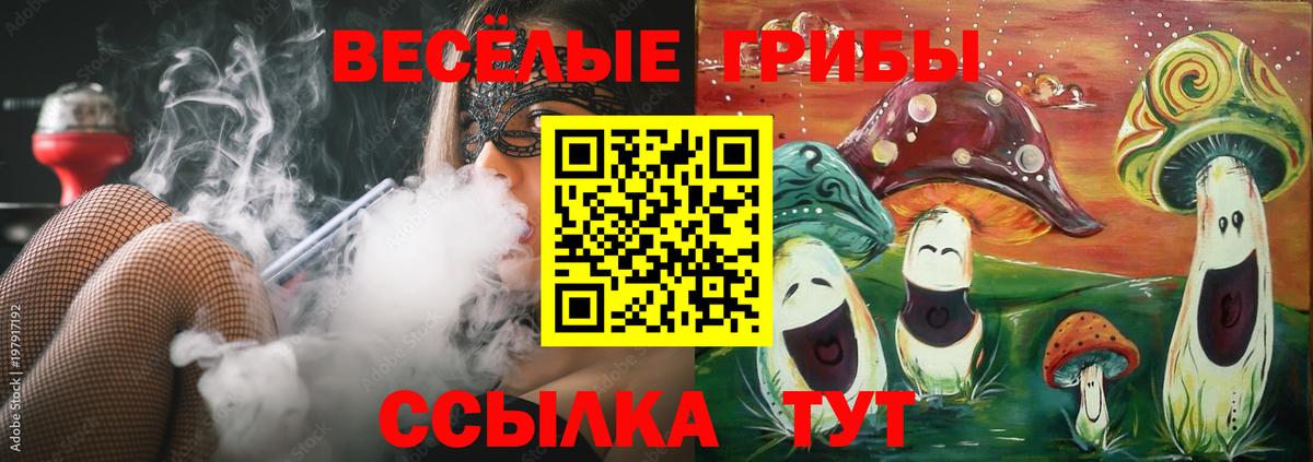 Галлюциногенные грибы GOLDEN TEACHER  Галлюциногенные грибы Magic Shrooms  Анжеро-Судженск 